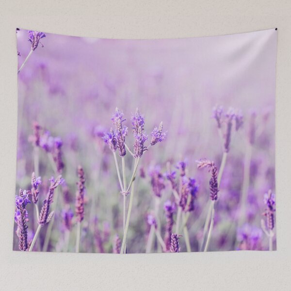 Item preview, Lavender Field designed and sold by fahadabu.