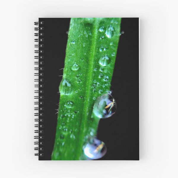 Item preview, Blacked out Downpour designed and sold by MyMacro_Photography (MyMacro).