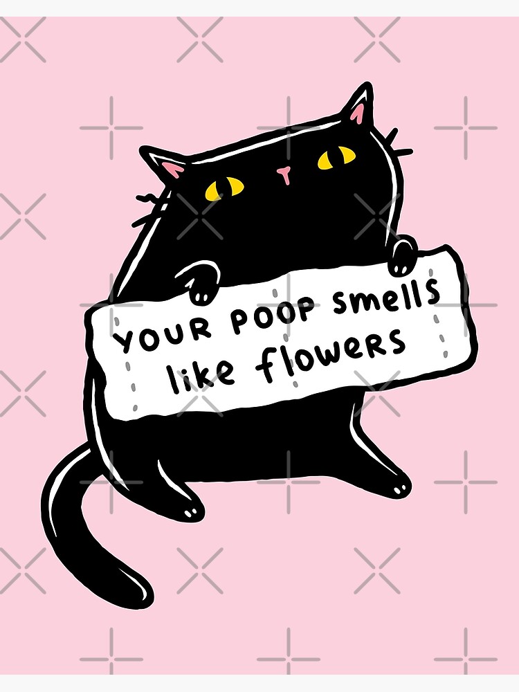 "Cute Black Cat With Placard Made Of Toilet Paper Saying "Your Poop