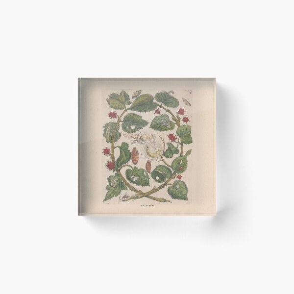 Item preview, Vintage botanical - mulberries with moths designed and sold by MNI-Labs.