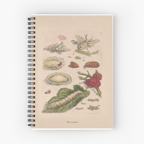 Item preview, vintage botanical - mulberries and moths (detail) designed and sold by MNI-Labs.
