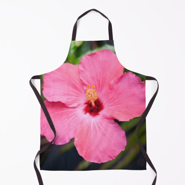 Item preview, Hibiscus Painted Lady designed and sold by RichFrancoCars.