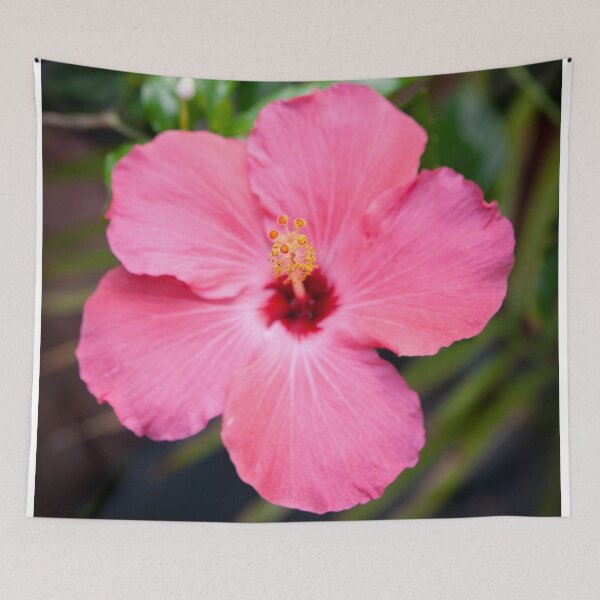 Item preview, Hibiscus Painted Lady designed and sold by RichFrancoCars.