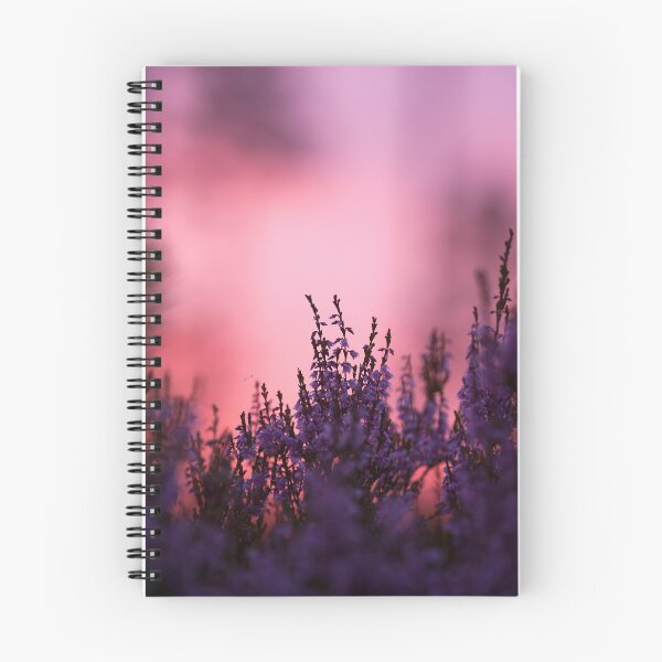 Item preview, Blooming heather in sunset designed and sold by Swedishnature.