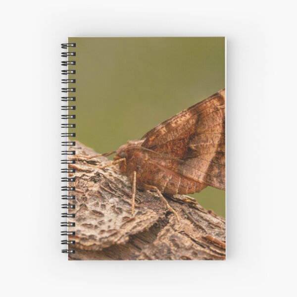 Early Thorn Spiral Notebook