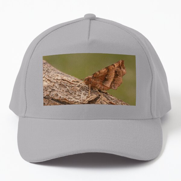 Early Thorn Baseball Cap