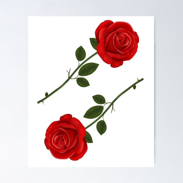 Item preview, Red Rose designed and sold by kamilfiras.