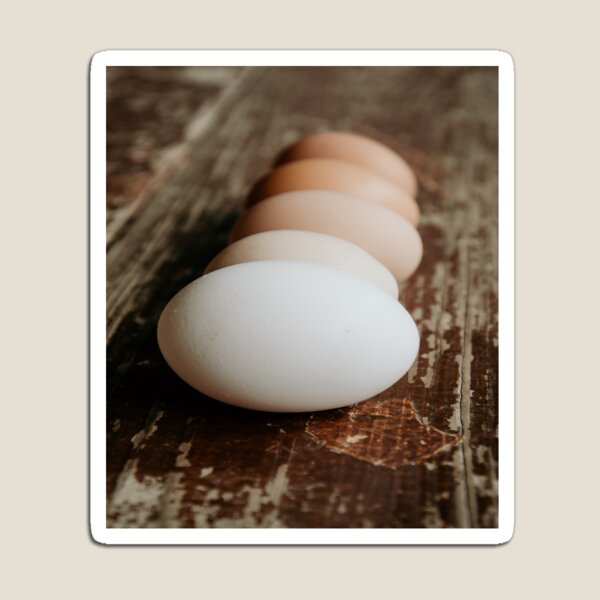 Item preview, Farm Fresh Ombre Eggs designed and sold by JLPhotographer.