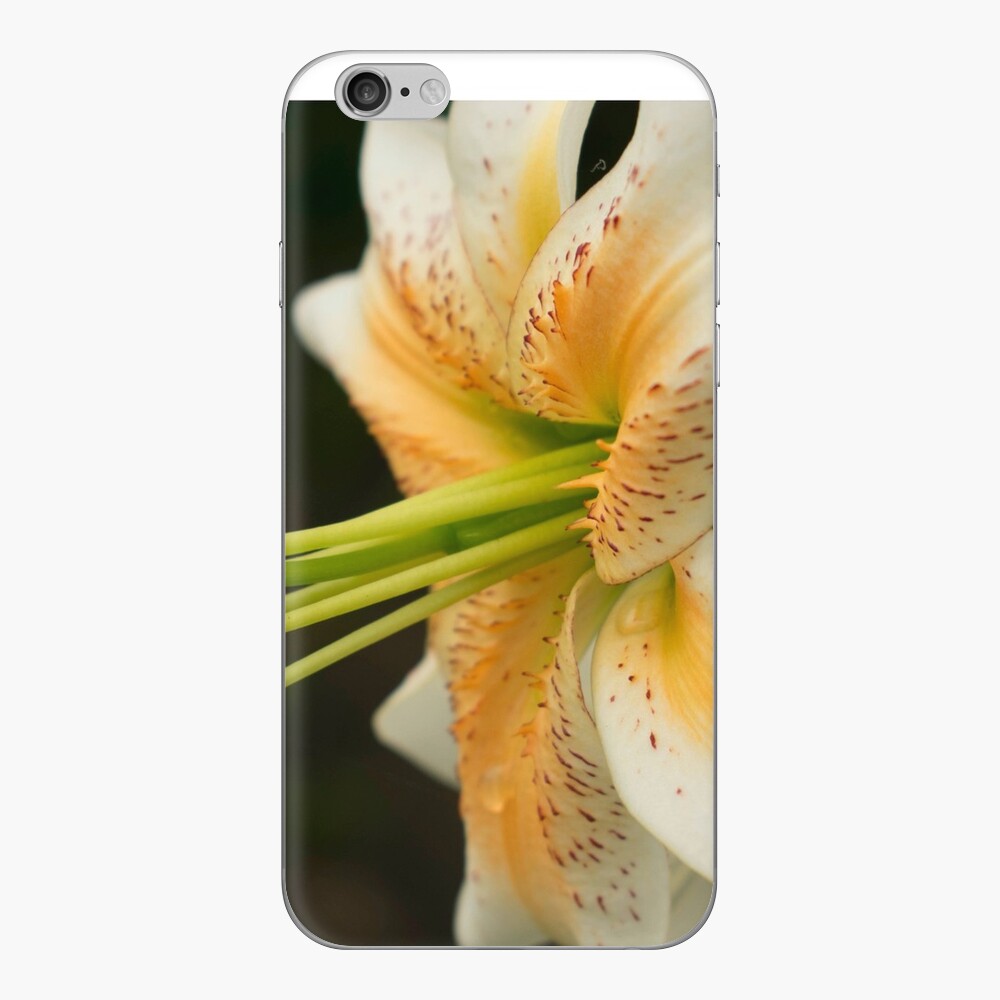Luscious Lily