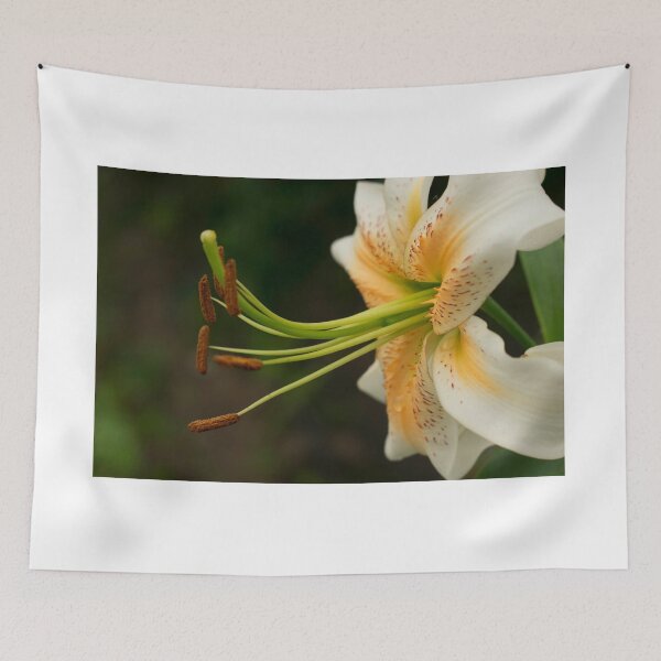 Item preview, Luscious Lily designed and sold by Foxy-and-Floral.