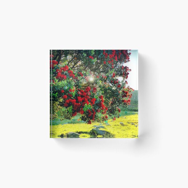 Item preview, PUHUTUKAWA SUNSHINE designed and sold by Steffi August.