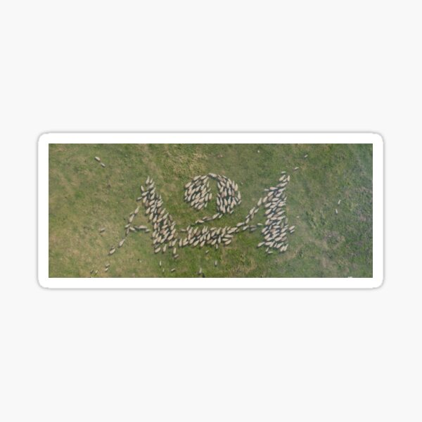 "A24 Lamb logo" Sticker by racheldenucci Redbubble