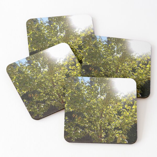 Item preview, Bright  designed and sold by Treesintheocean.