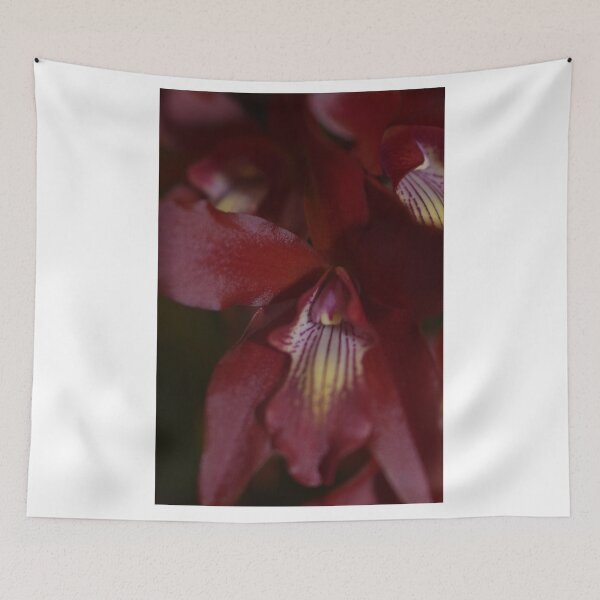 Aperçu de l'œuvre Orchidées rubis créée et vendue par Foxy-and-Floral.