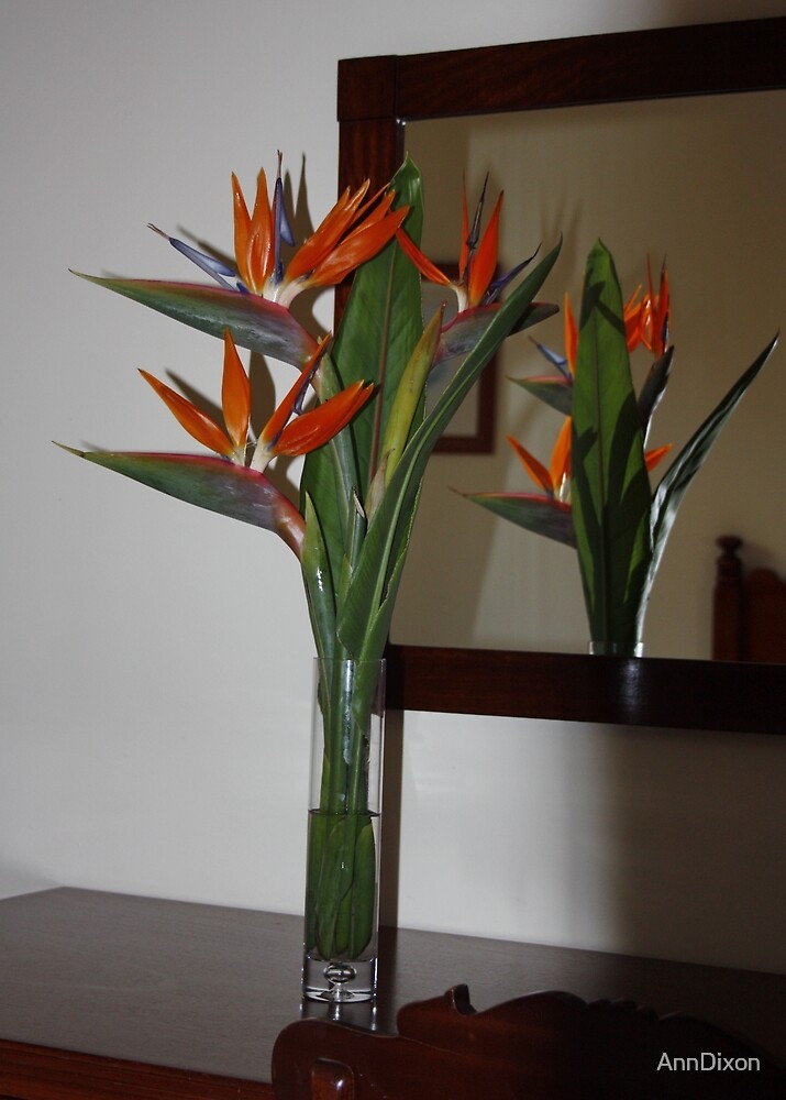 "Vase of Strelitzia Bird of Paradise" by AnnDixon Redbubble