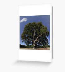 The Saintly Oak Tree Greeting Card