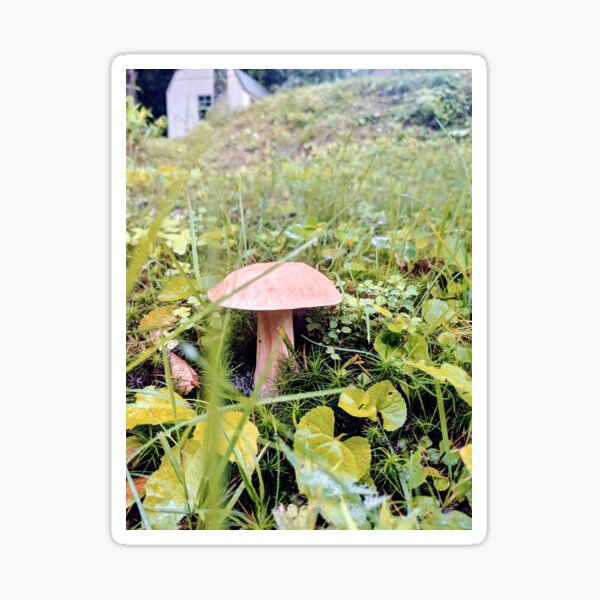 Mushroom II Sticker