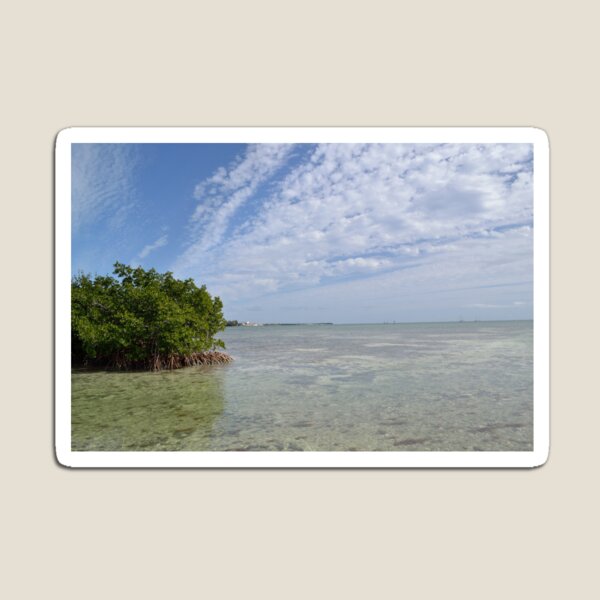Item preview, Key West Mangroves designed and sold by seacucumber.