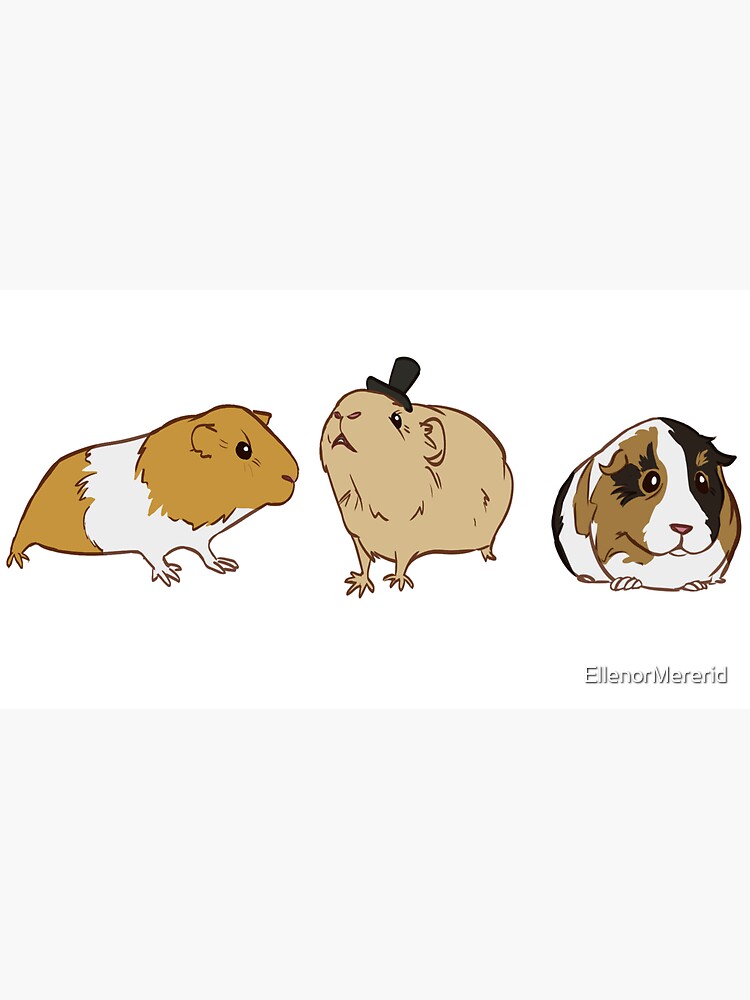 Thumbnail 6 of 6, Bucket Hat, Guinea Pigs pattern designed and sold by EllenorMererid.