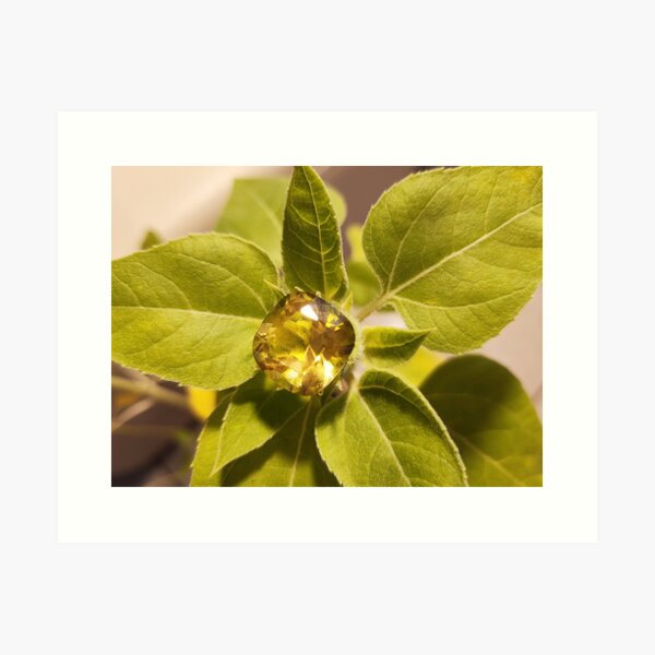 Garden of Jewels / Programmed Citrine Frequency Art Print