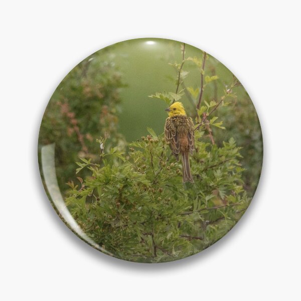 Item preview, Yellowhammer designed and sold by DawnsArt92.