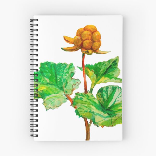 Item preview, Cloudberry, watercolor painting designed and sold by Lemontreeart63.
