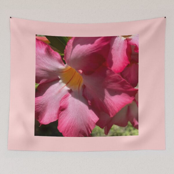 Item preview, Desert Rose designed and sold by reb21052.