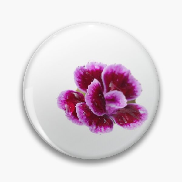 Item preview, Clove Pink Caryophyllaceae -Beutiful - Flower designed and sold by RolandWidin.