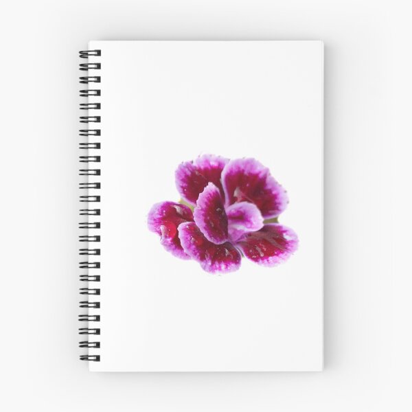 Item preview, Clove Pink Caryophyllaceae -Beutiful - Flower designed and sold by RolandWidin.