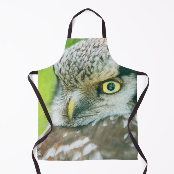 Item preview, Northern Hawk Owl designed and sold by Dominika Aniola.