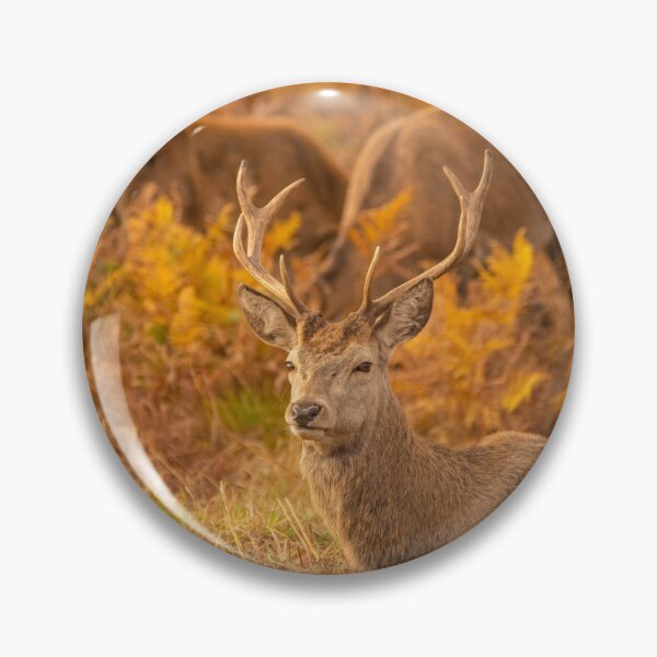 Item preview, Red Deer Stags designed and sold by DawnsArt92.