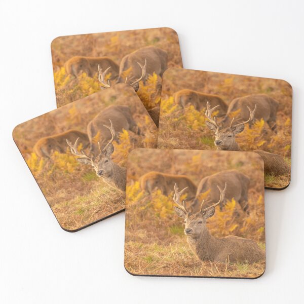Item preview, Red Deer Stags designed and sold by DawnsArt92.