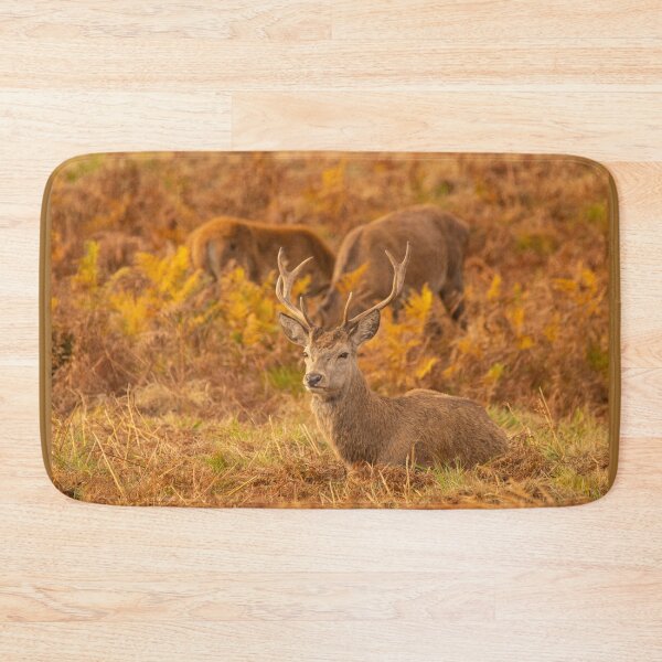 Item preview, Red Deer Stags designed and sold by DawnsArt92.