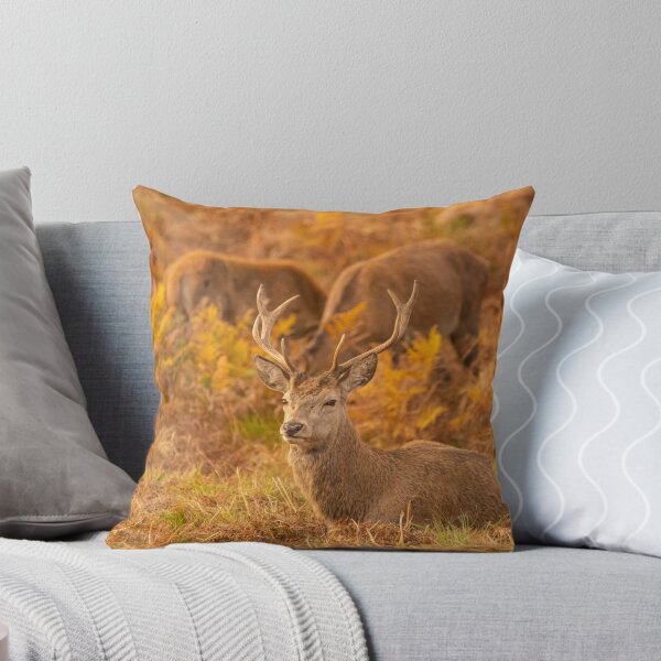 Item preview, Red Deer Stags designed and sold by DawnsArt92.