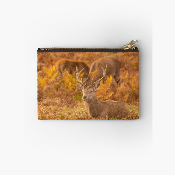 Item preview, Red Deer Stags designed and sold by DawnsArt92.