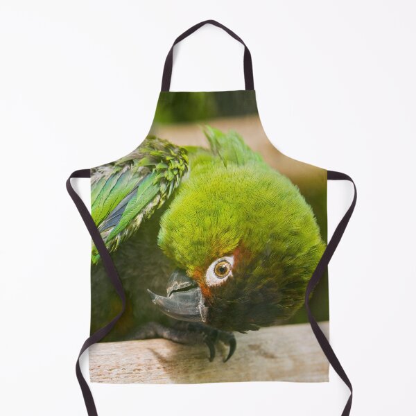 Item preview, Green Parakeet designed and sold by Dominika Aniola.
