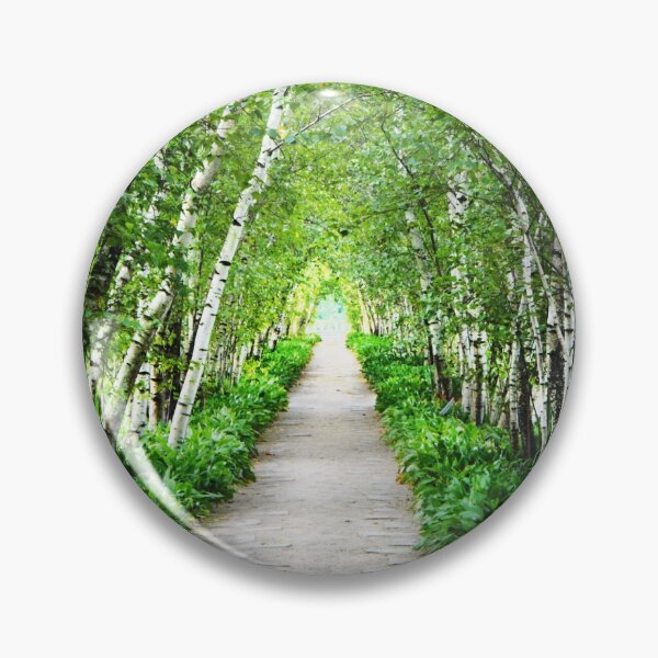 Item preview, Birch Tree Path designed and sold by chloemillxxv.
