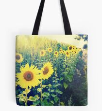 sunflowers at the cornfield Tote Bag