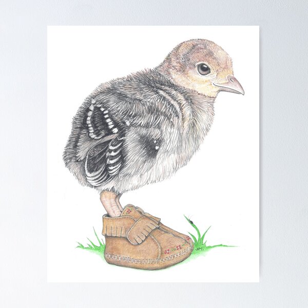 Item preview, Turkey Poult in Moccasins designed and sold by JimsBirds.