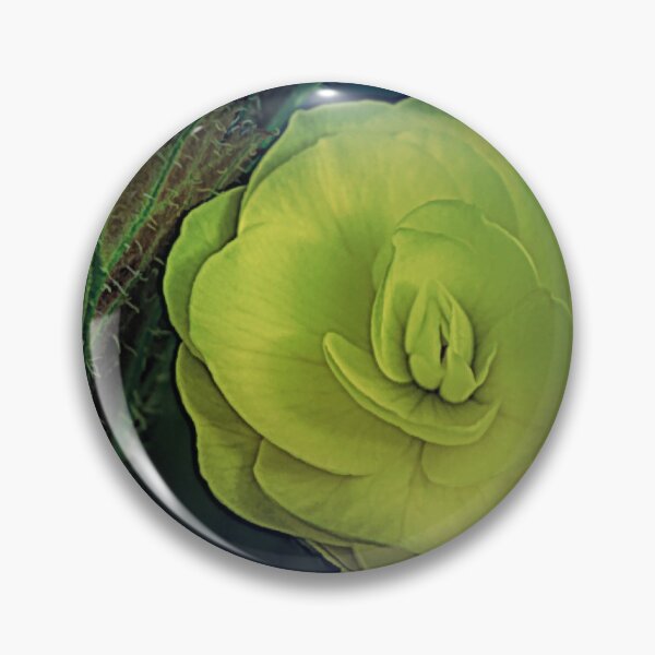 Item preview, Flower blooming illustration designed and sold by CanadianWild418.