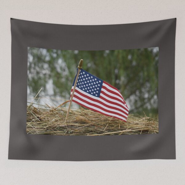 Item preview, American Flag in a Hay Bale designed and sold by SEEphotos7171.