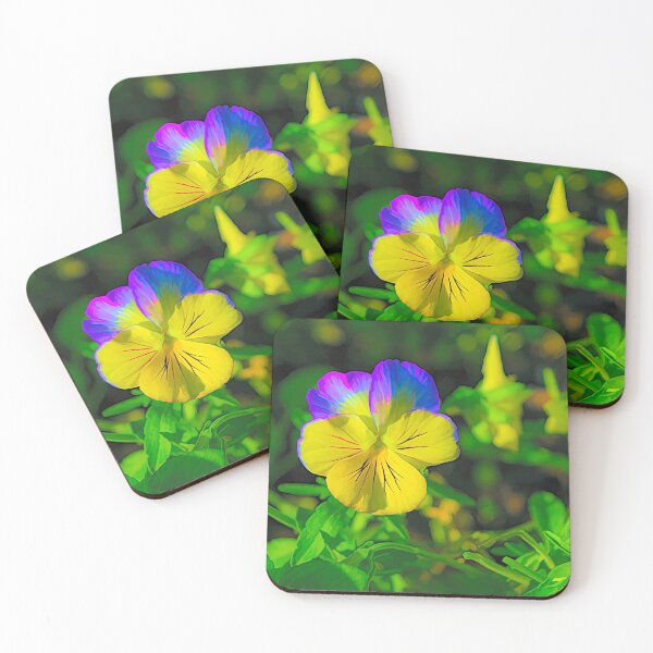 Item preview, Pansy illustration designed and sold by CanadianWild418.