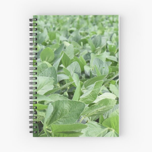 Item preview, Soybean Plants in a Farm Field designed and sold by SEEphotos7171.