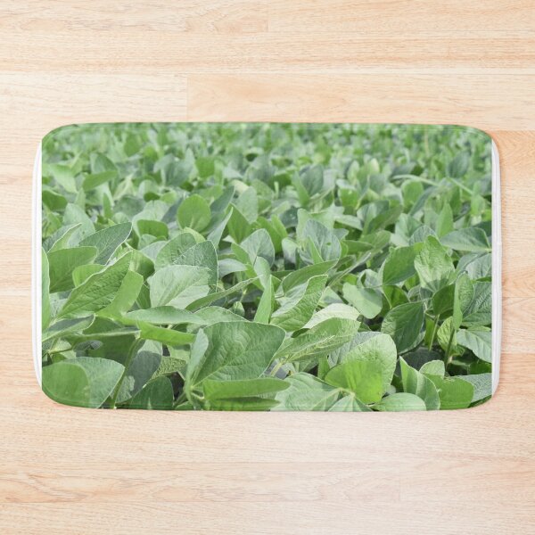 Item preview, Soybean Plants in a Farm Field designed and sold by SEEphotos7171.