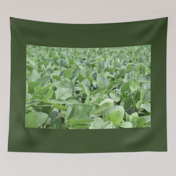 Item preview, Soybean Plants in a Farm Field designed and sold by SEEphotos7171.