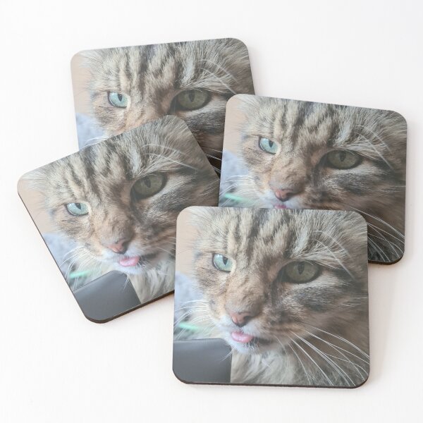 Item preview, Rude cat designed and sold by John Gault.