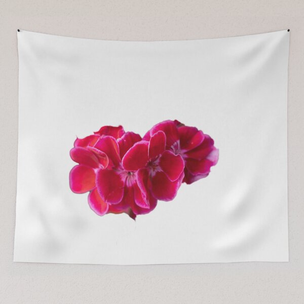 Item preview, Pelargonium - Flower - Beutiful designed and sold by RolandWidin.