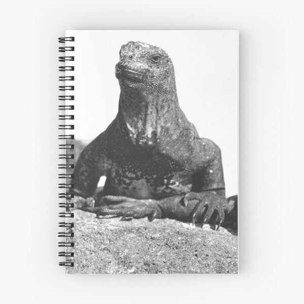 Item preview, Marine Iguana designed and sold by JerryFrank.