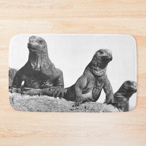 Item preview, Marine Iguana designed and sold by JerryFrank.
