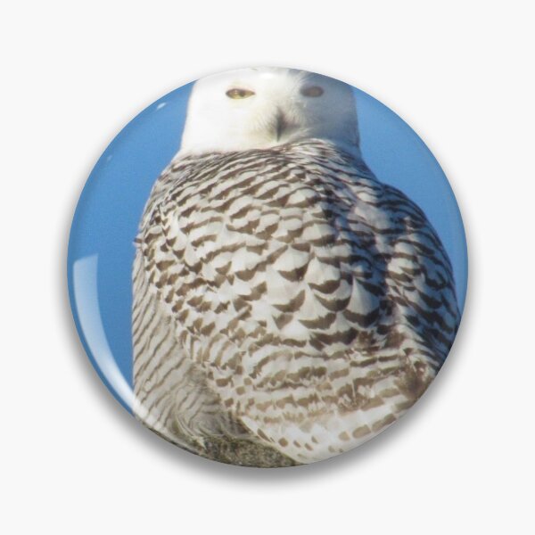 Item preview, Snowy Owl atop a chimney designed and sold by mainekayakgirl.